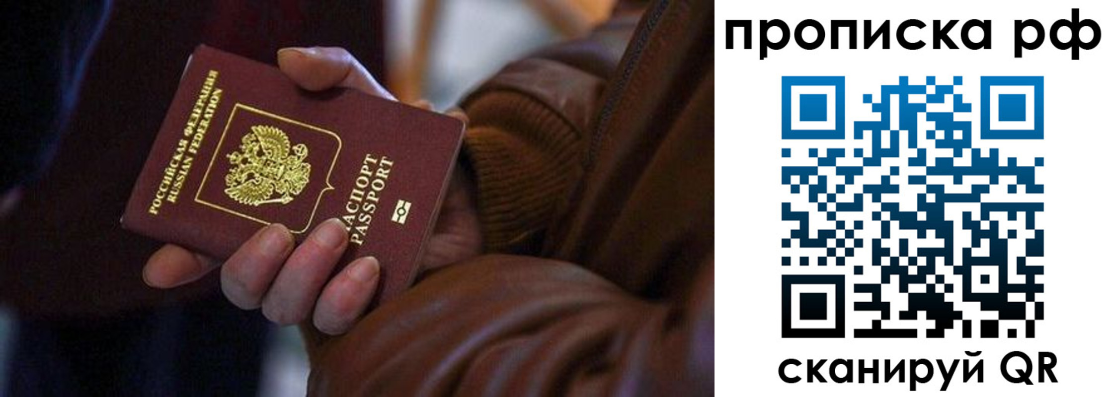 прописка 2025 в Ельне