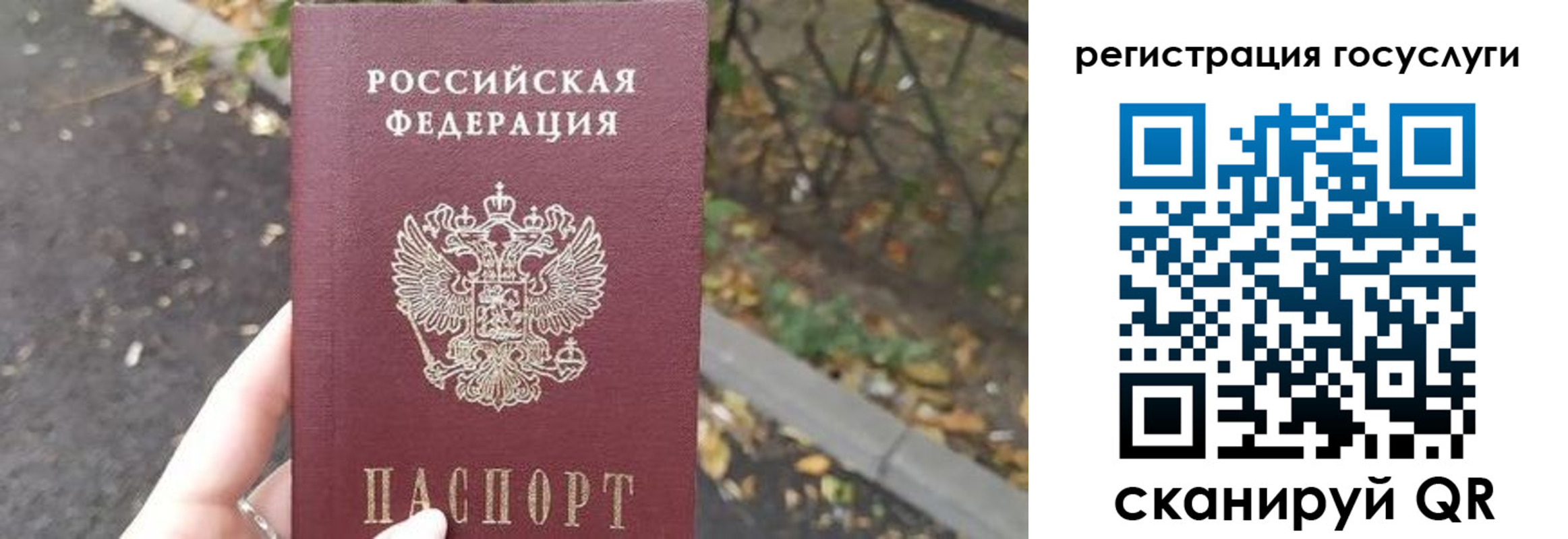 купить прописку в Ельне